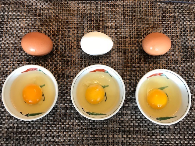 foodrecipe15-A-5